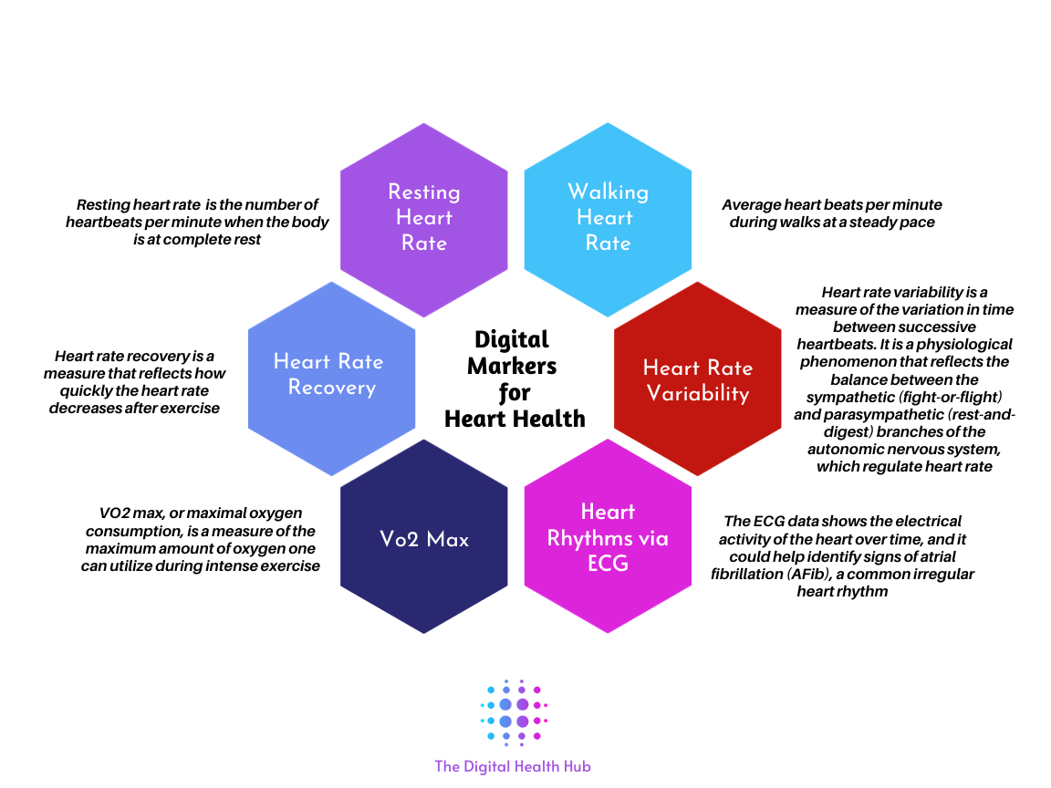 Digital Markers for Cardiovascular&nbsp;Health